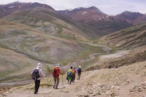 TREKKING IN LADAKH | CHANGTANG 2017